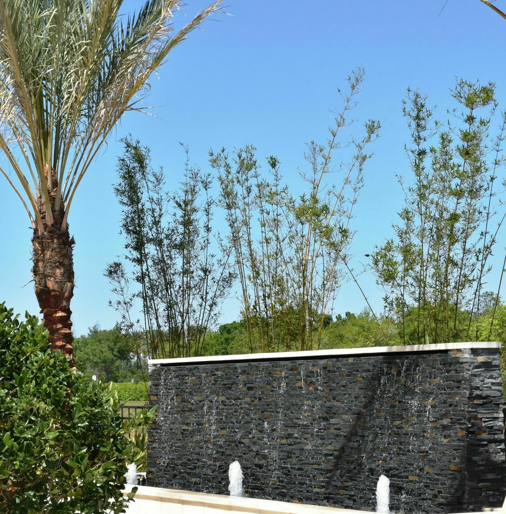 Springhill Suites By Marriott Orlando At Millenia Dış mekan fotoğraf